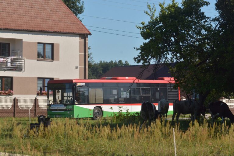 DSC_4585